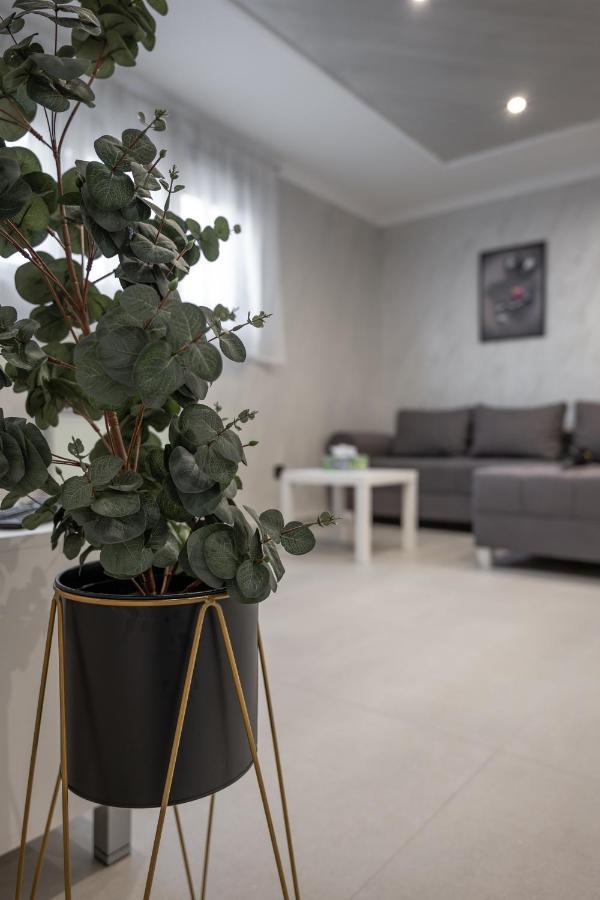 Joy Apartments Zemun,Beograd Экстерьер фото